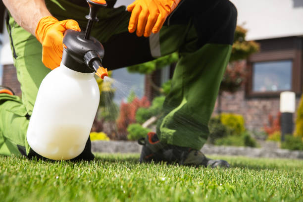 Best Mosquito Control Services  in Pawcatuck, CT