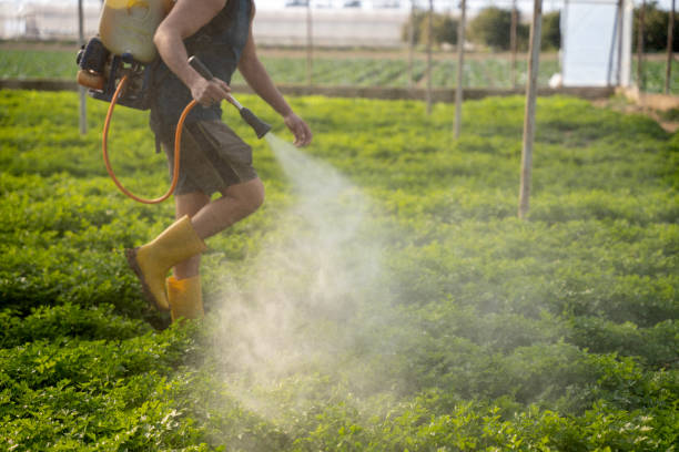 Best Best Pest Control Companies  in Pawcatuck, CT