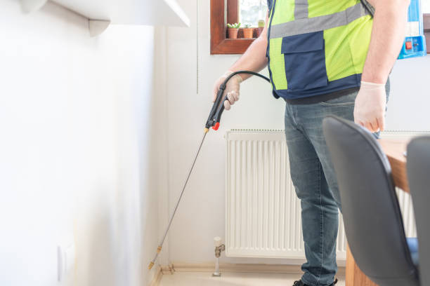 Best Emergency Pest Control  in Pawcatuck, CT