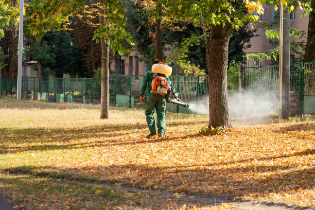 Best Termite Control Services  in Pawcatuck, CT