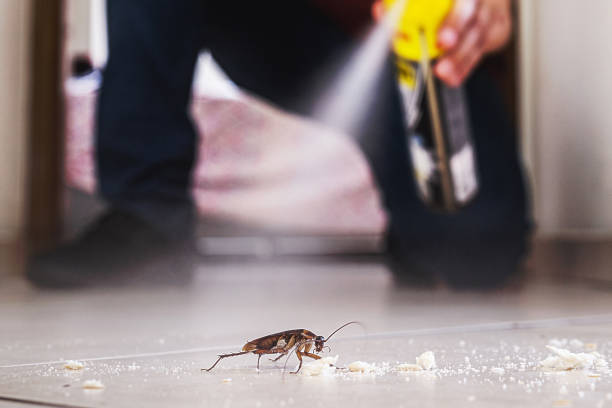 Best Cockroach Control Services  in Pawcatuck, CT