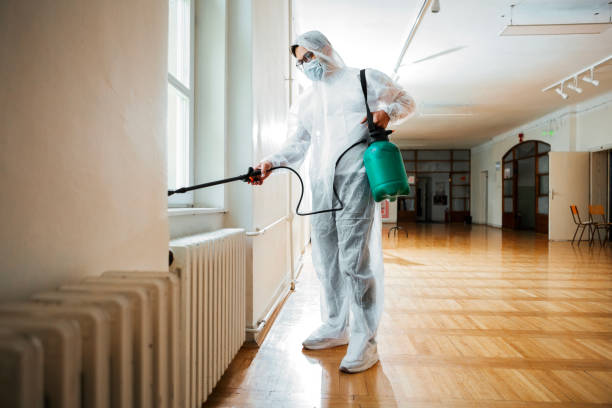 Best Pest Control Treatment  in Pawcatuck, CT