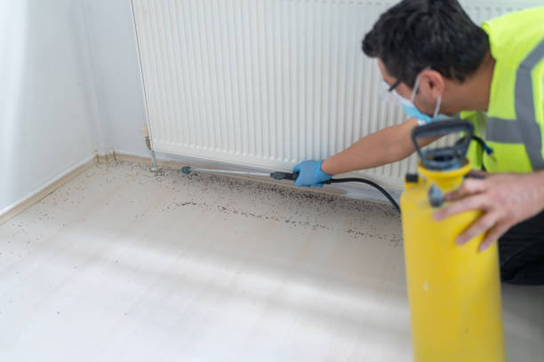 Best Pest Prevention Services  in Pawcatuck, CT