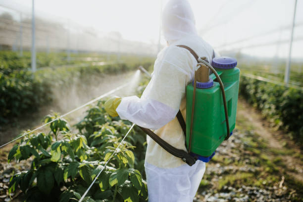 Best Pest Inspection Near Me  in Pawcatuck, CT